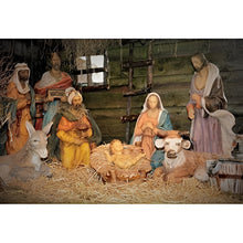 Cargar imagen en el visor de la galería, Fondo De Vinilo Para Fotografía De Nacimiento 3x2 M Lisa Varios