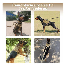 Cargar imagen en el visor de la galería, Arnés Táctico Con Forma De Coraza Talla M Beige