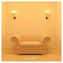 Cargar imagen en el visor de la galería, Ampolleta Gu10 Sec 6w = 55 Watts Tipo Dicroica Blanco Cálido
