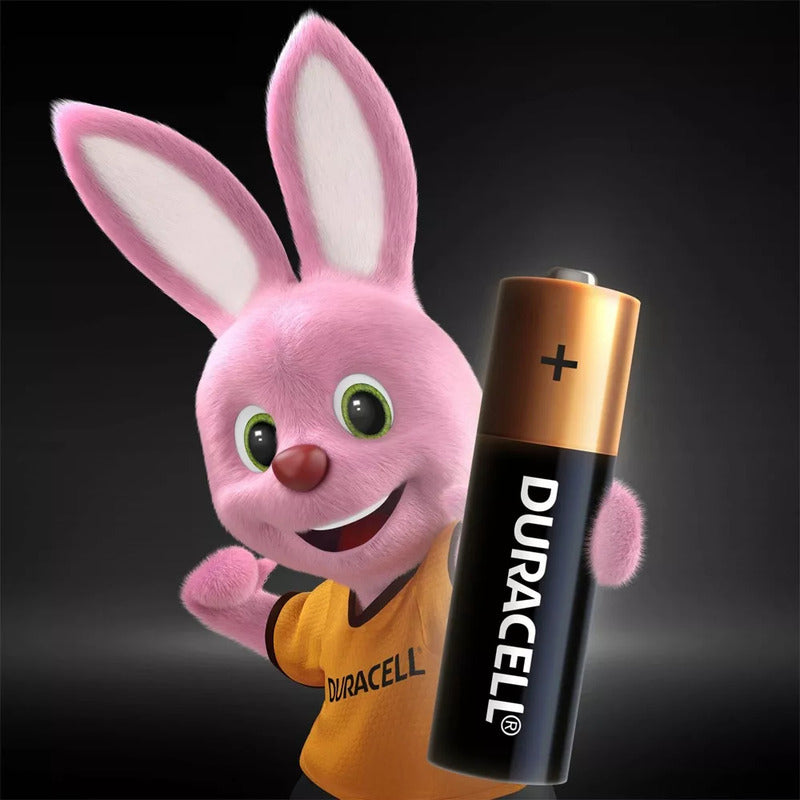 Pack 40 Pilas Alcalinas Duracell Blíster Aa