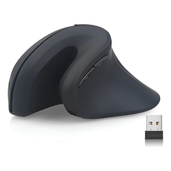 Mouse Vertical Ergonómico Recargable Inalámbrico Usb Negro