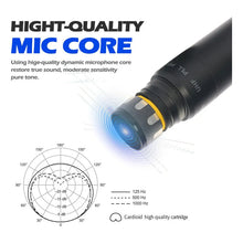 Load image into Gallery viewer, Bomge 2 Micrófonos Inalambricos Uhf Doble Canal 230u Negro
