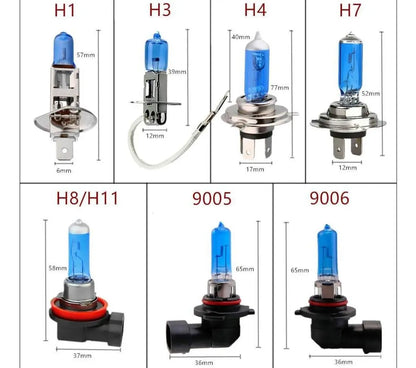 2 Ampolleta Halogena Azul H1 100w 24v Hid Conce Camion